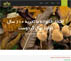 سایت رویال گردو