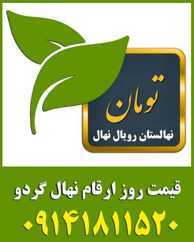 قیمت خرید نهال گردو چندلر پیوندی