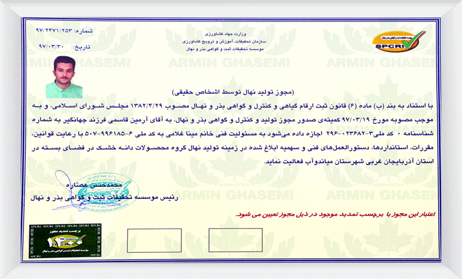 نهال گردو چندلر پیوندی